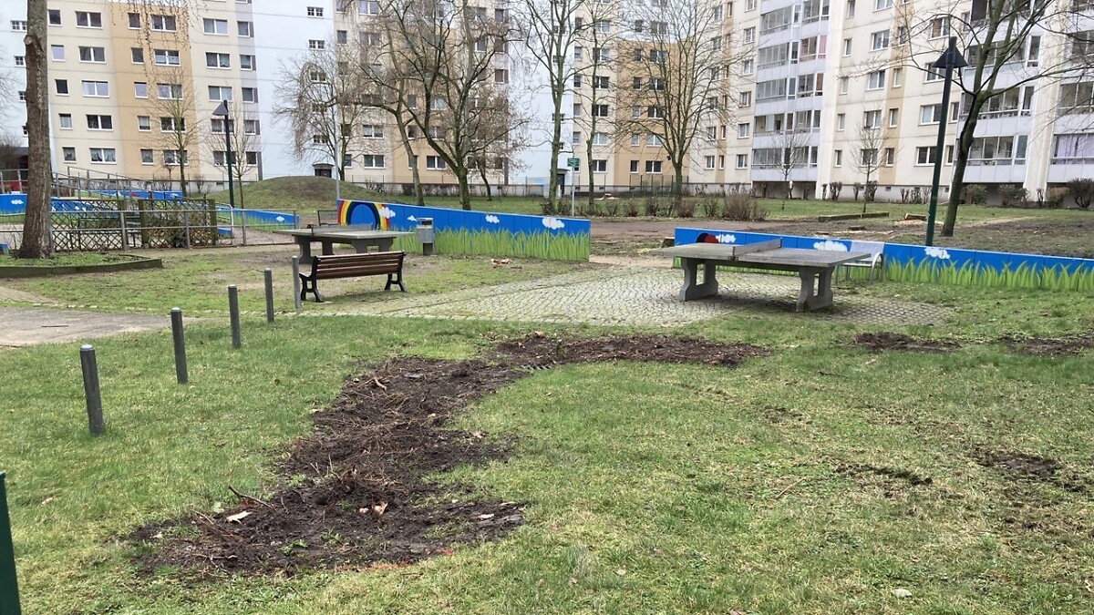 Tischtennisplatten im Innenhof der Wohnanlage 1b